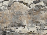 Plastering Services
