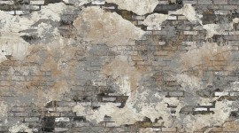 Plastering Services
